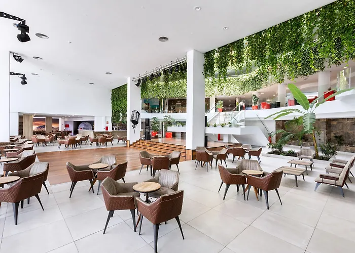 Alexandre Gala פלאייה דה לאס אמריקס